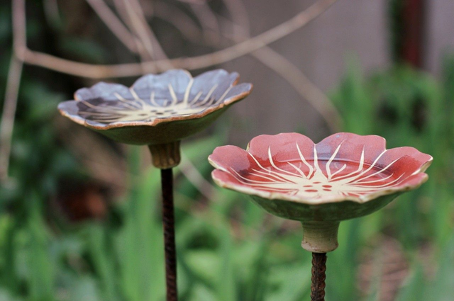 Fleur abreuvoir à oiseaux