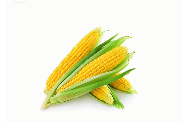 Sweet Corn from Sierra Leone - per box 