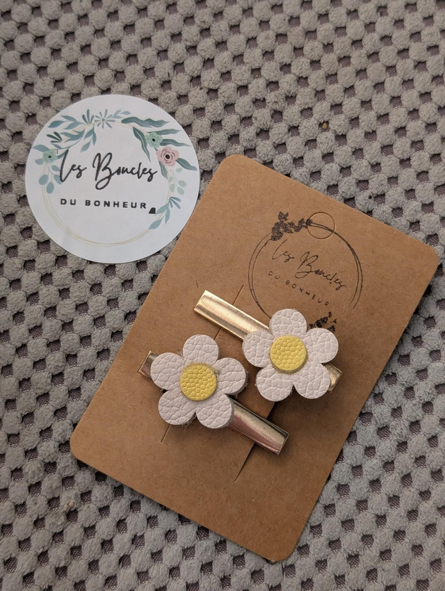 Barrette b066