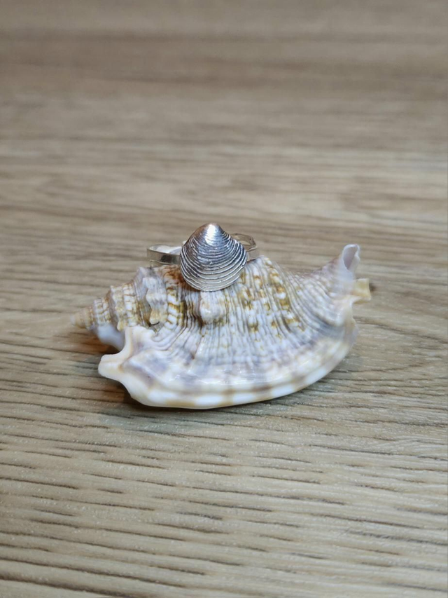 Venus shell on double crossed band ring 
