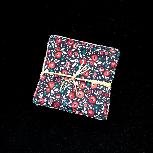 Lot 5 lingettes démaquillantes 