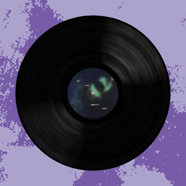 Vinyl - Het Hart Bestaat Niet En De Rest Ook Niet