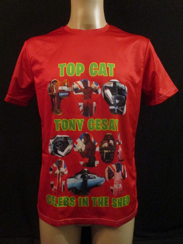 Tony Cesay ABA Champion Boxer Picture T-Shirt (Green &amp; Yellow Logo) ADULT 100% Polyester Crew Neck RED (Small) Top 