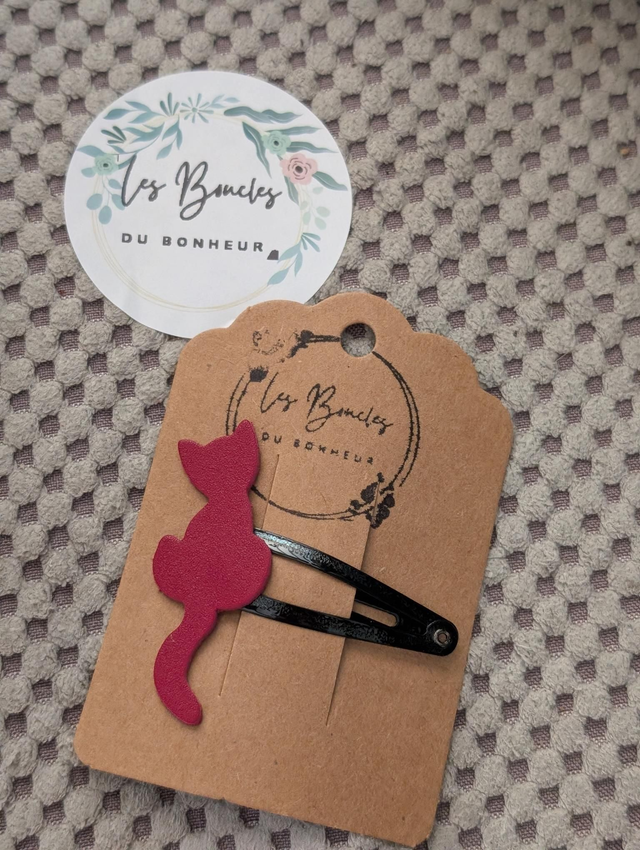Barrette b013