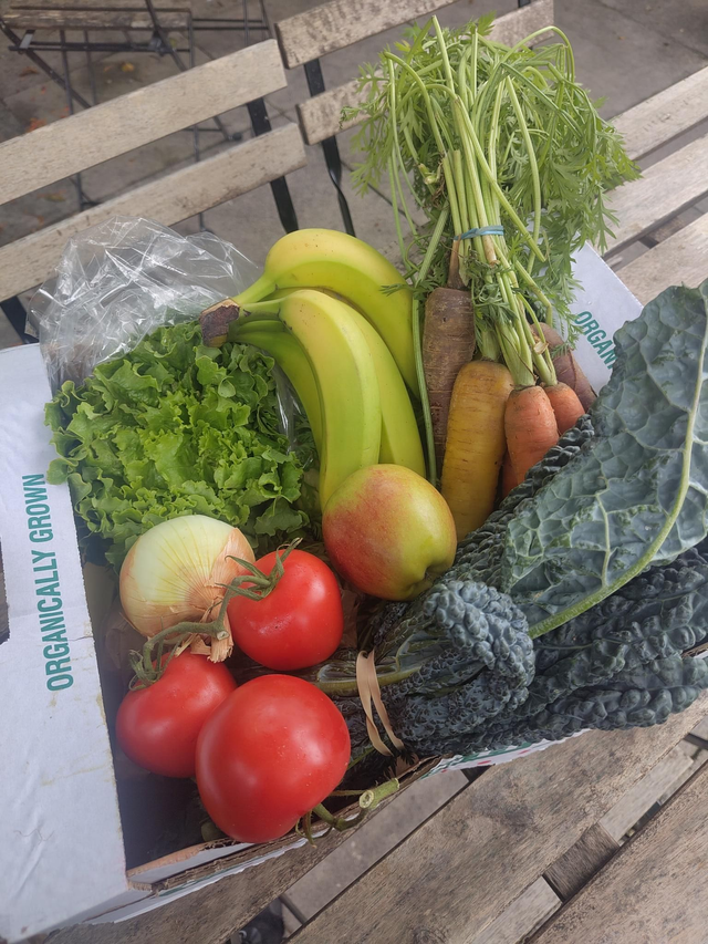 Organic Vegetable Box - Regular size, 4 weekly deliveries
