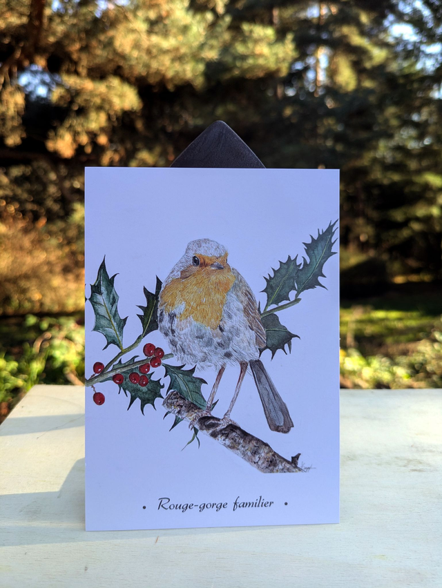 Carte Postale Rouge gorge familier