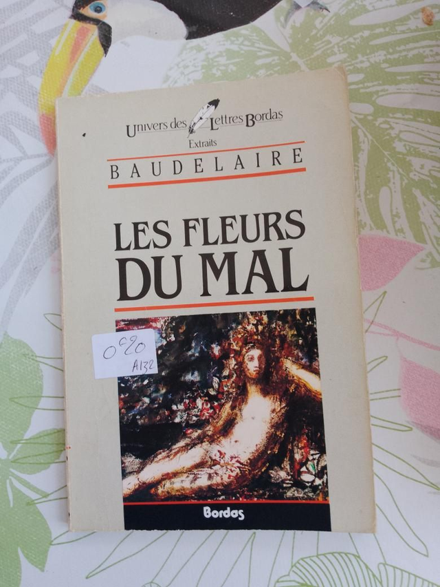 Les fleurs du mal, Beaudelaire