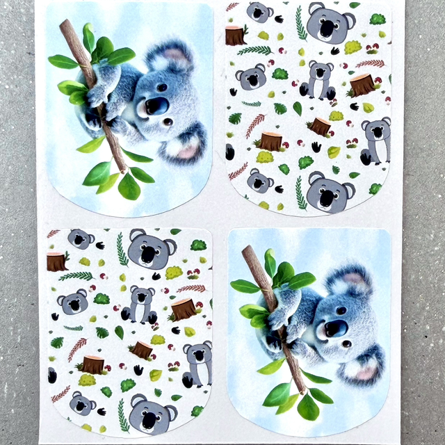 Koala Bear Stickers (Set of 4)