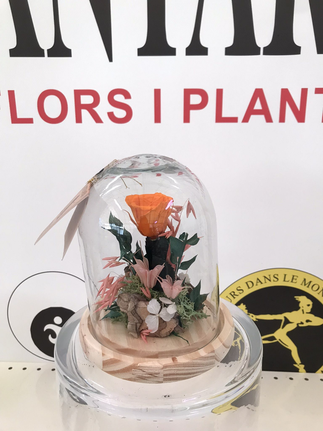 CUPULA CRISTAL ROSA NARANJA D-14 Altura 17cm