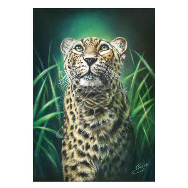 Leopard &quot;le Guetteur d&#039;Emeraude&quot;
