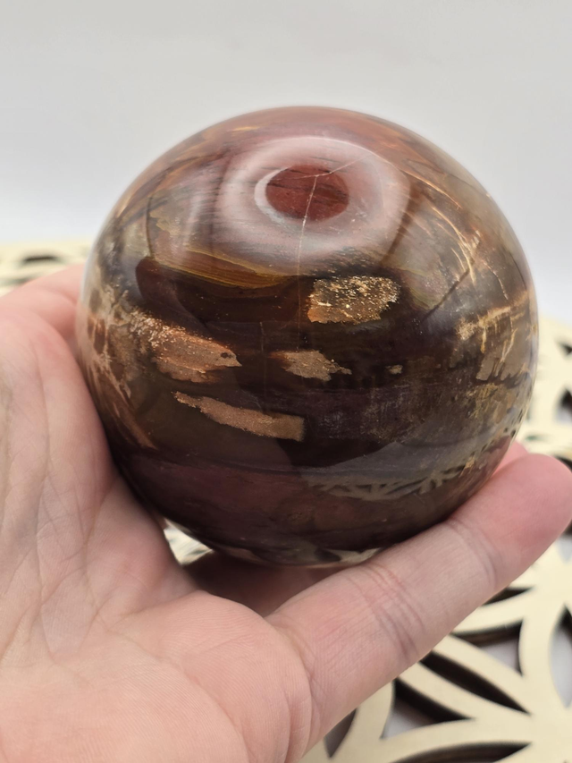 Bois fossilisé forme sphère