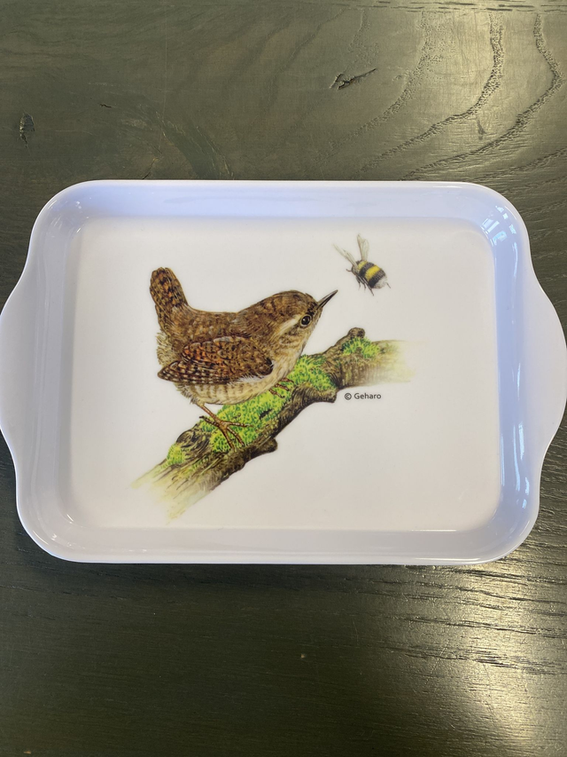 Dienblad winterkoninkje