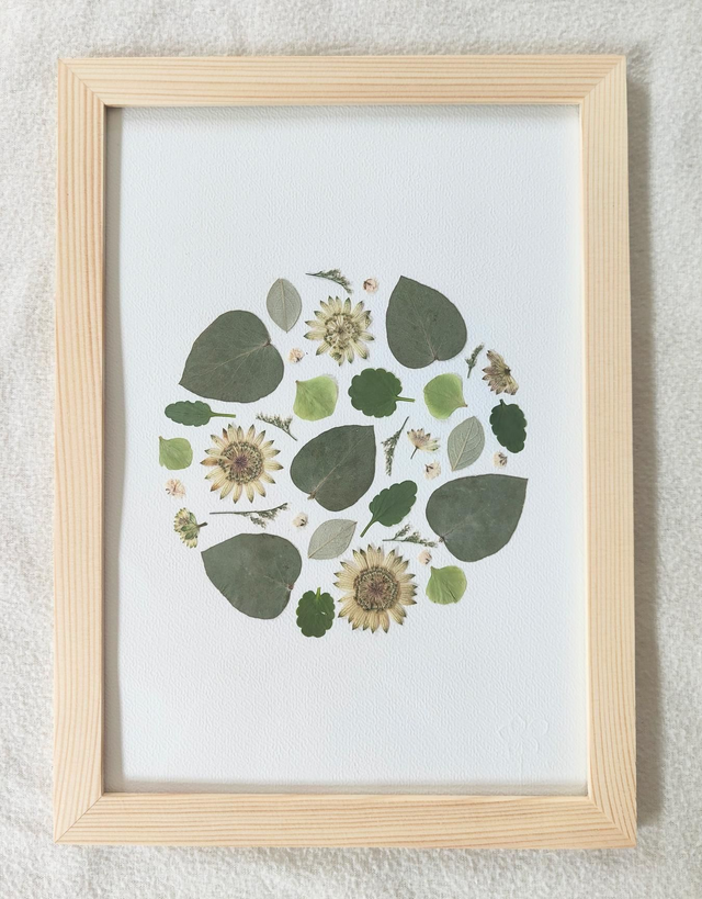 Herbier de fleurs pressées 