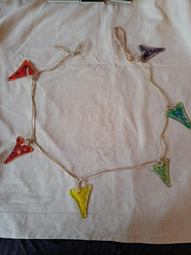 Rainbow bunting (6)