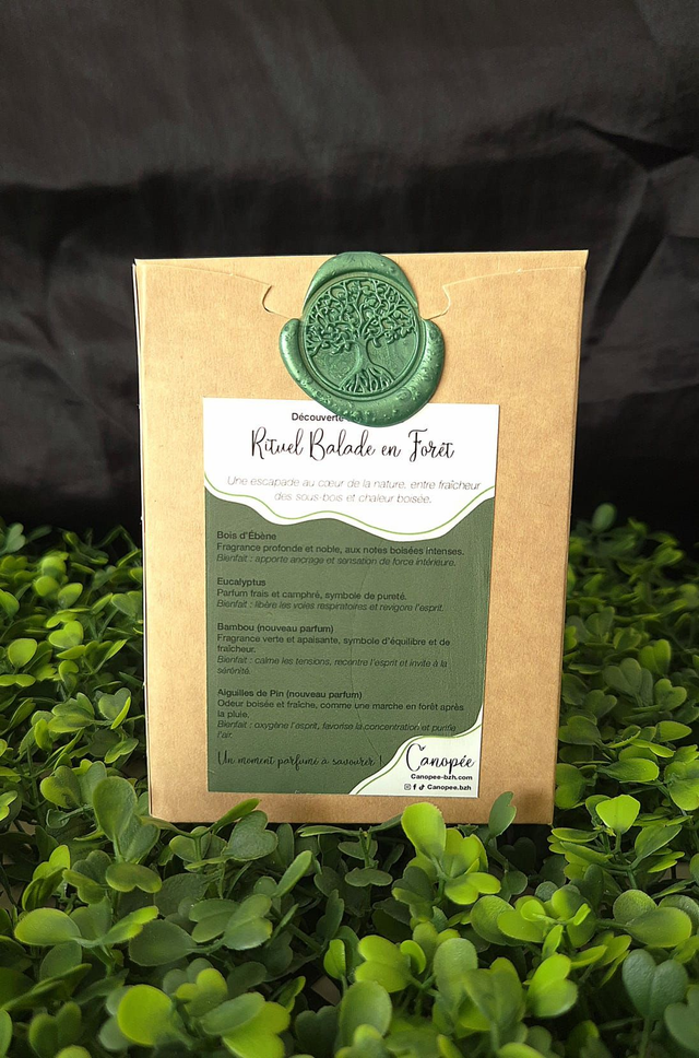 Kit Fondant parfumé &quot;Balade en Forêt&quot;