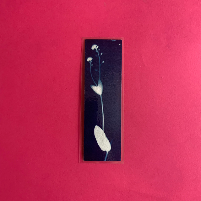 Marque page cyanotype végétal original sur papier épais et plastifié