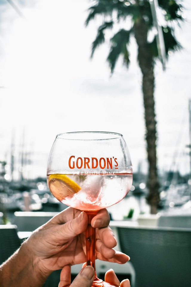 Gordon Pink Gin