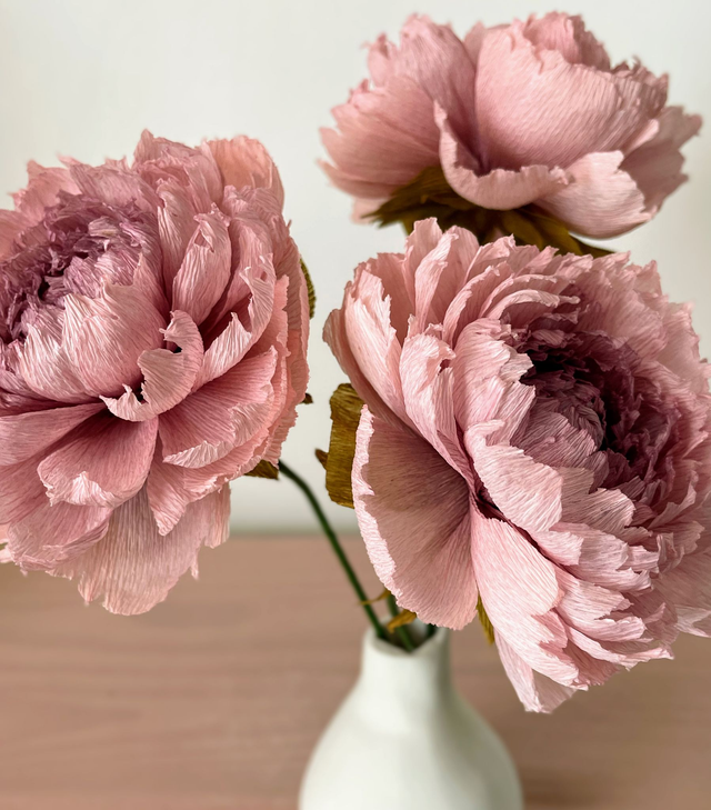 Pivoine "Almaé" avec son vase artisanal offert