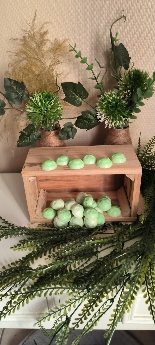 Fondant Anti moustique