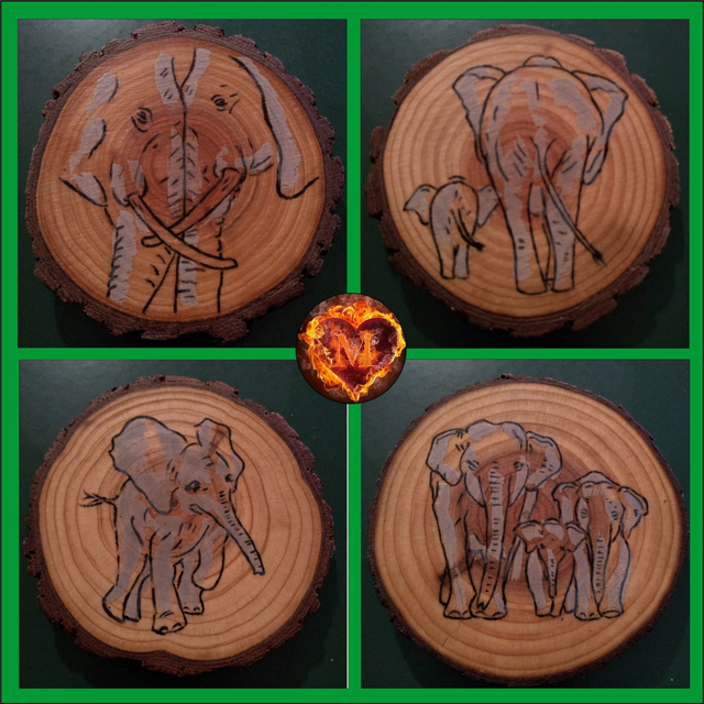 The Jumbo's 🐘🐘🐘🐘