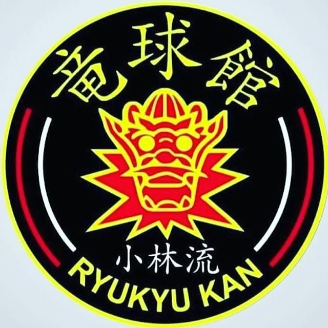 Virtual Dojo (Zoom Class)