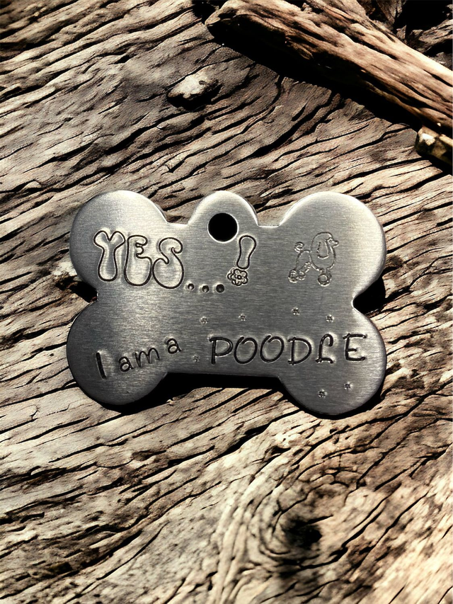Yes I am a Poodle !