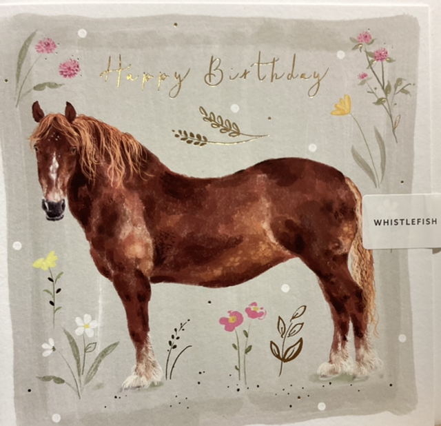 Birthday Open- Horse
