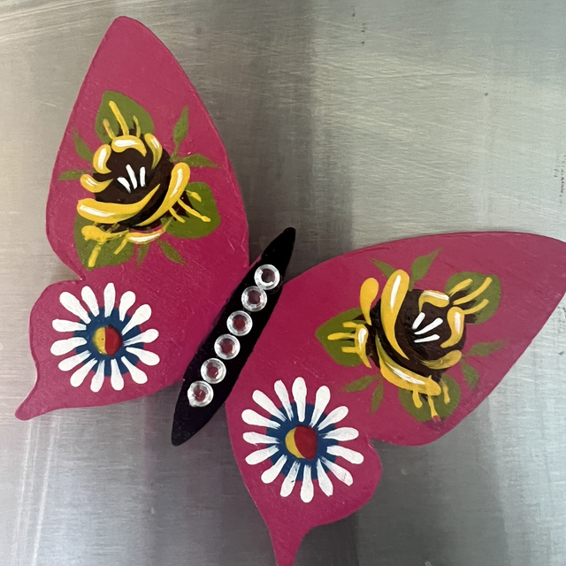 Hand-Painted Butterfly Fridge Magnets – Canal Art Inspired