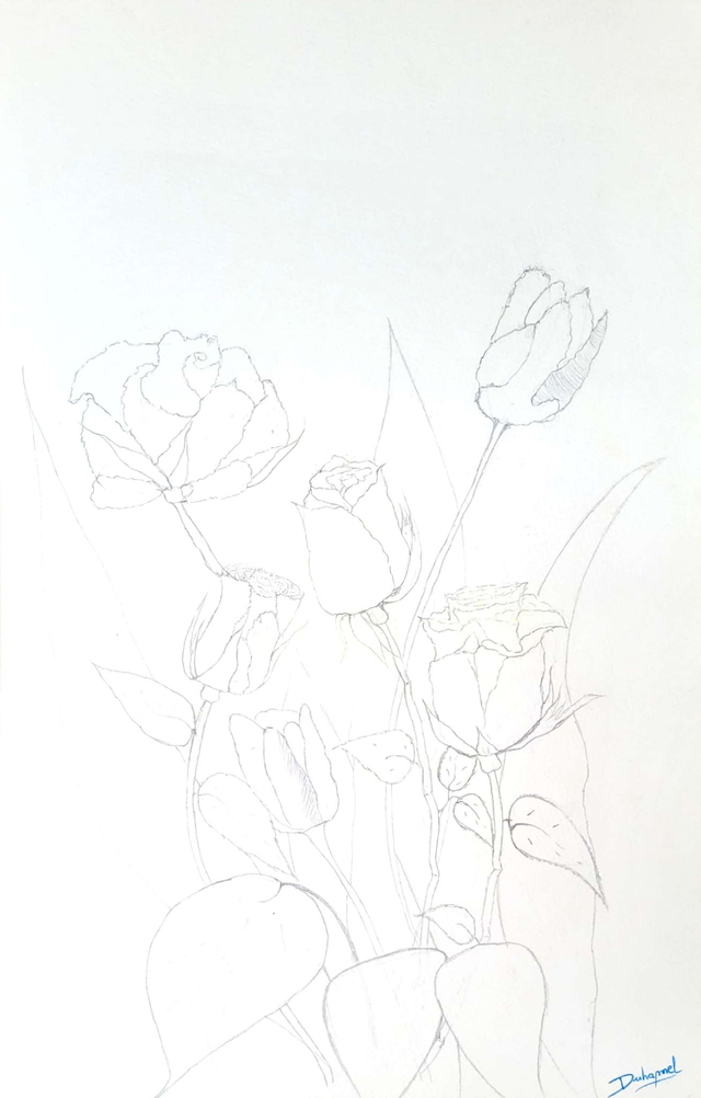 Roses et tulipes, 2017
