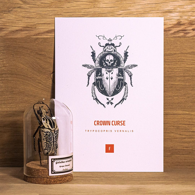 _A5 / Crown curse