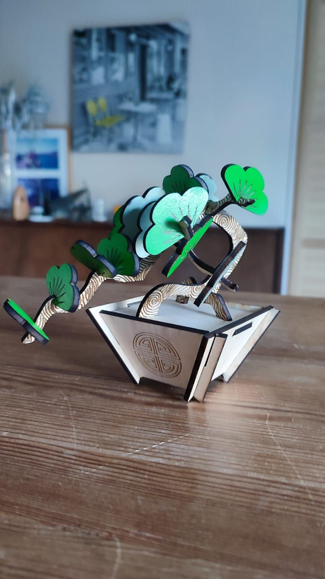 Mini Bonsaï  à monter soi-même