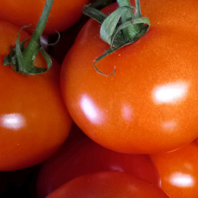 Tomaten 5 Kilo