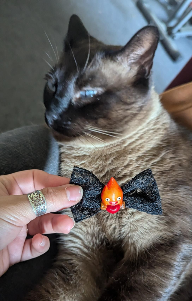 Barrette à cheveux ghibli