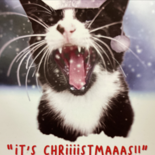 Christmas Humorous - It’s CHRISTMASES!! ER