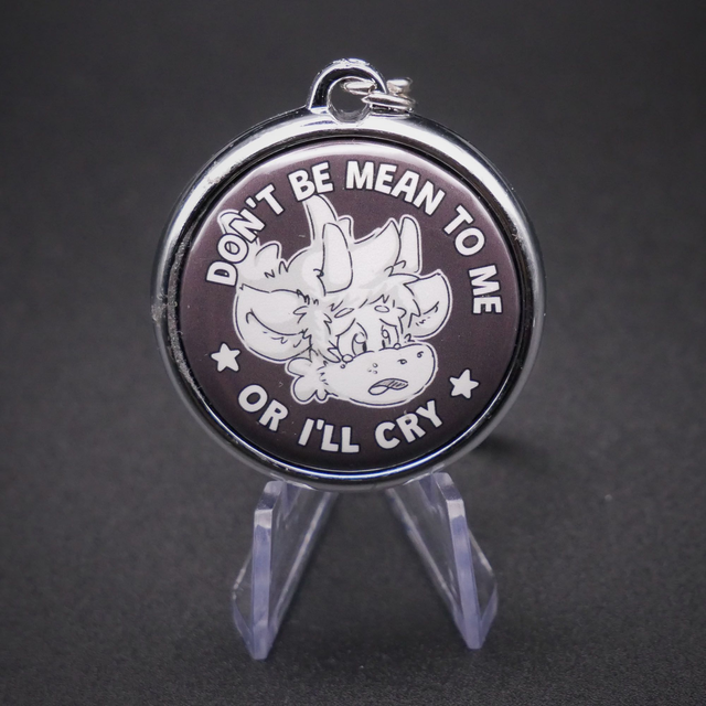 Don't Be Mean To Me Keychain