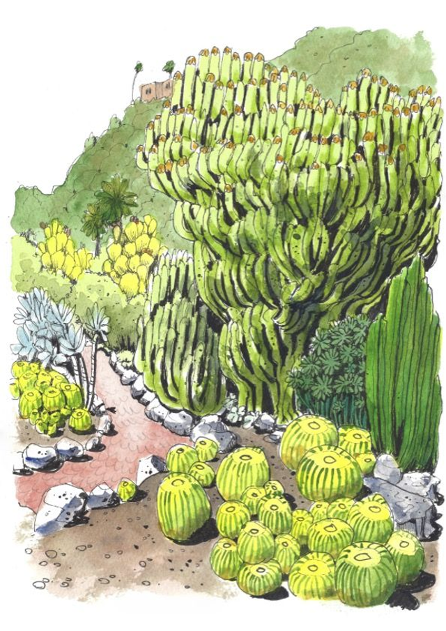 Jardín Canario
