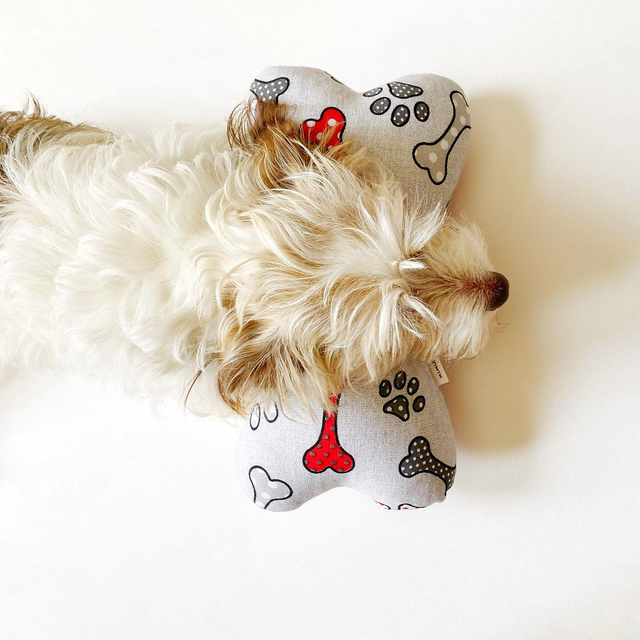 Bones Vermelha | Almofada Osso