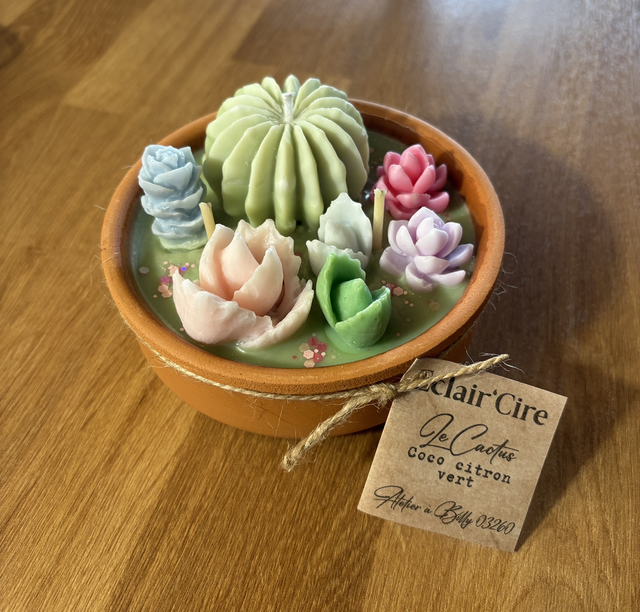 Cactus coco citron vert - 255gr