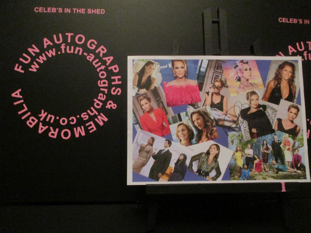 Vanessa Williams Limited Edition Signed Picture Collage A4 Photograph Print (1)