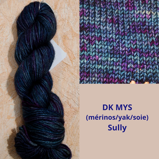 DK MYS Sully