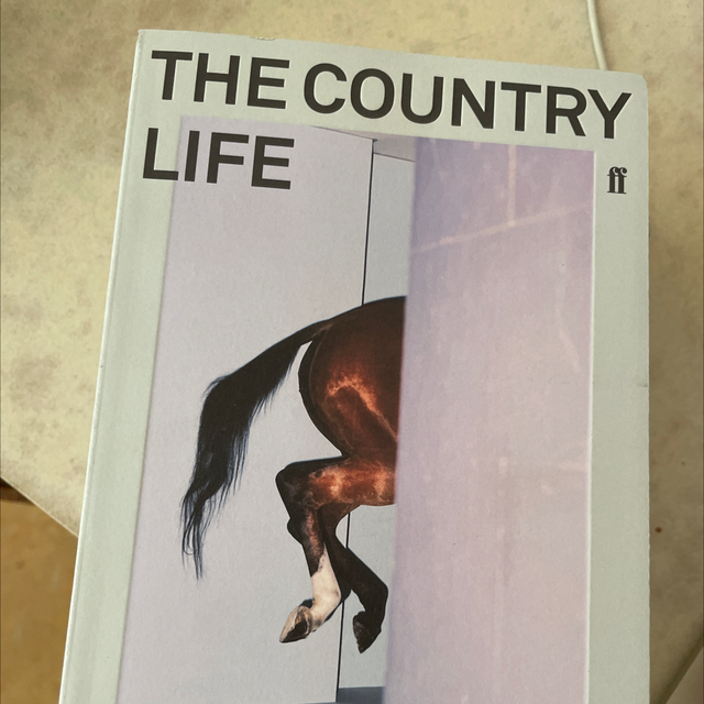 The Country Life Rachel Cusk