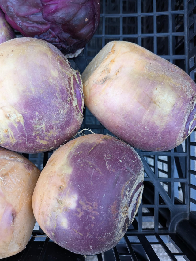 Swede 1kg