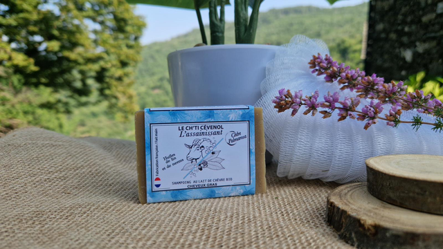 L’Assainissant — cheveux gras