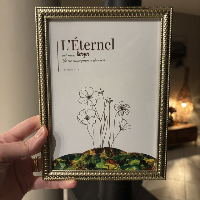 Affiche Mon berger 2