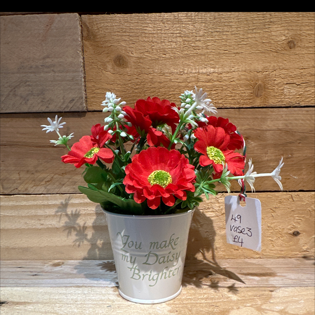 You Make My Daisy Brighter 