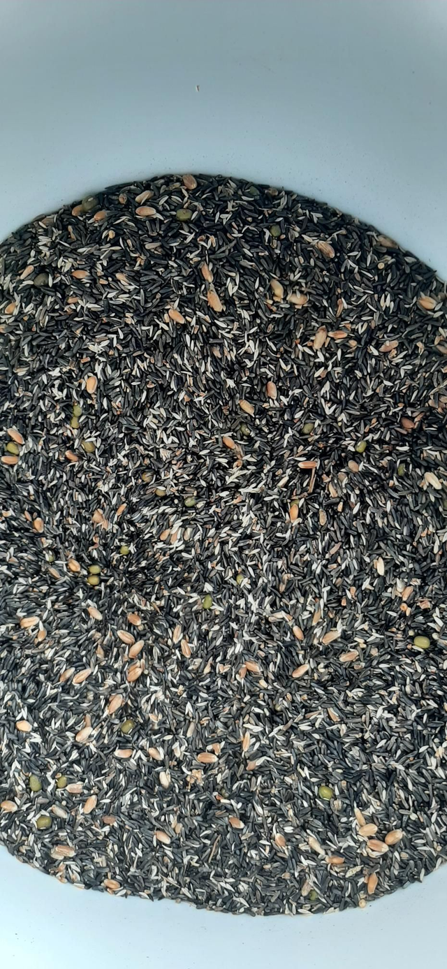 Semi da germinare 1 kg