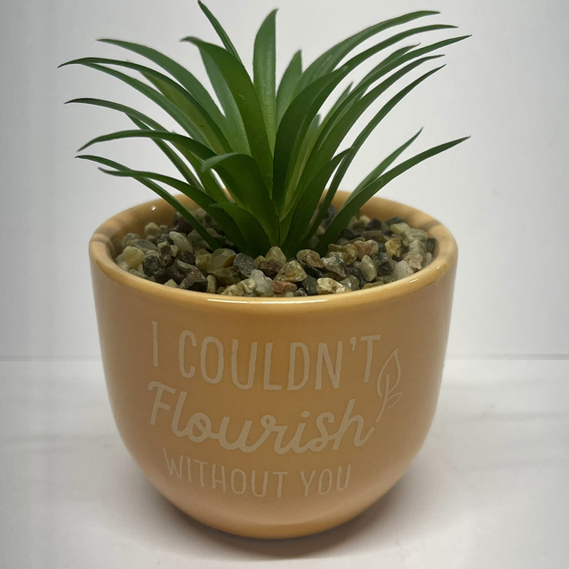 Cute Plant Pot - I Couldn’t Flourish Without You 