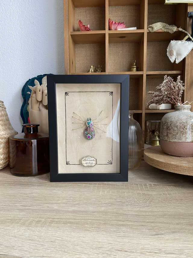 Planche naturaliste araignée mauve