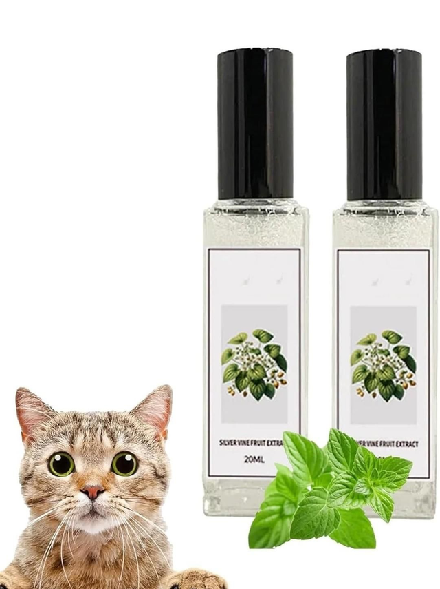 Zzz on hold Cat Herbal Joy Celery