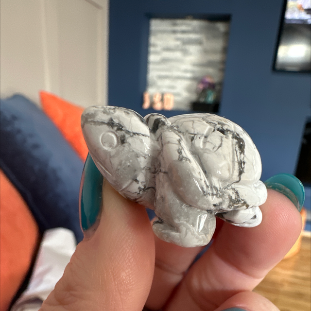 White Howlite Turtle 